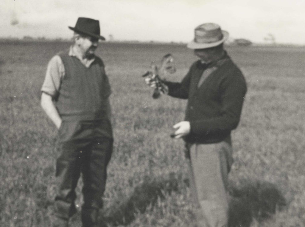 About Lowe Farms Premium Chaff, Hay & Straw Producers